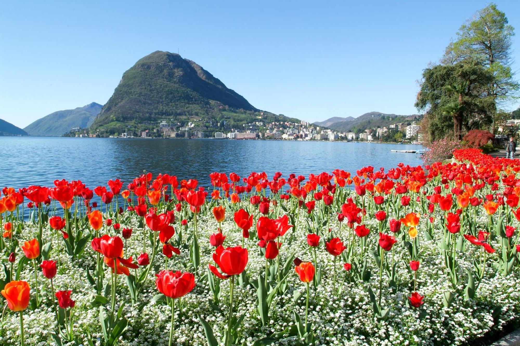 Little Lugano - Happy Rentals Extérieur photo